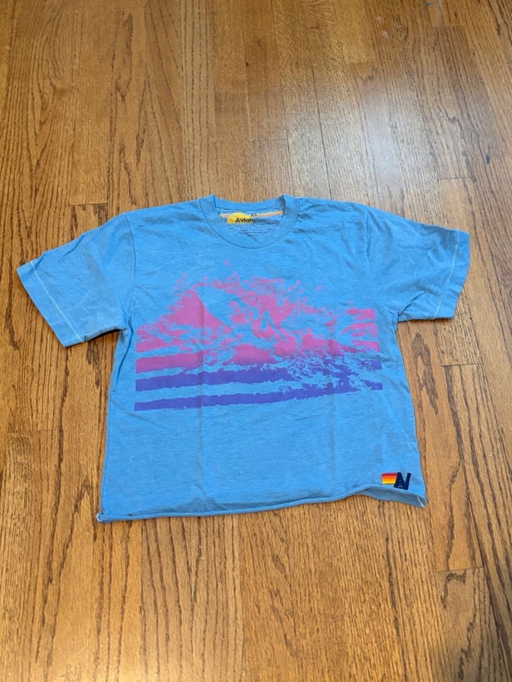 Aviator Nation Light Blue Cropped Tee with Pink & Purple Mountain Print